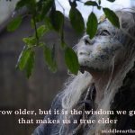 Eldership & The Dance of Leadership: