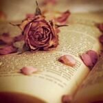Being a Storyteller