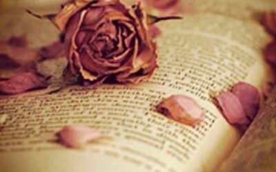 Being a Storyteller
